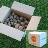 Box 20Kg AGRIA yellow Potatoes